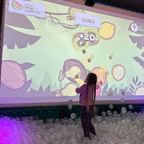 Supplier interactive ball pool ELI Play