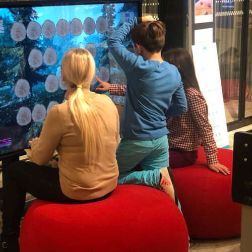 Tapwall game touch screen for children ELI Play